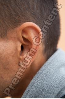 Ear texture of street references 437 0001